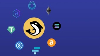 Orca; Navigating the Shark Infested Waters of DeFi