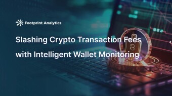 Slashing Crypto Transaction Fees with Intelligent Wallet Monitoring