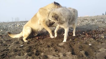 My Dear Friend Found Her Way Back to Me…