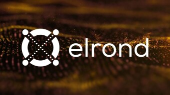 Elrond EGLD - Is It Worth Buying It?