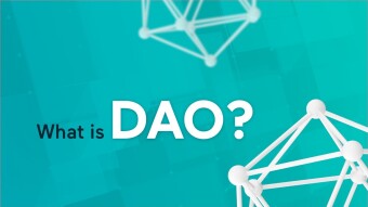 What is a Decentralized Autonomous Organization (DAO)?