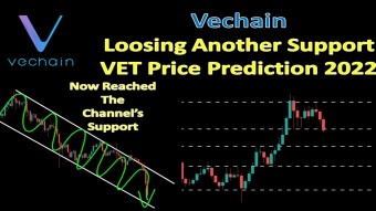 Vechain Loosing Another Support | VET Price Prediction 2022