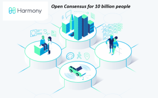 HARMONY: THE SOLID BACKGROUND FOR FAST AND SCALABLE BLOCKCHAIN NETWORKS