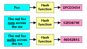 Hash: what it is, what it is used for and why it is so important to know hashing