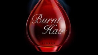 The Boring Company's Burnt Hair Has Been Delayed