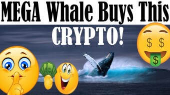 MAJOR BUY SIGNAL! - THIS CAN MAKE YOU TONS OF MONEY! - MEGA WHALE BUYS THIS! - CRYPTO EXCHANGE RUN!