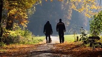 Stacking sats is a walk in the park with the sMiles app... literally