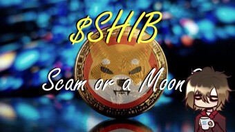 SHIB in focus, will the memecoin kill DOGE?
