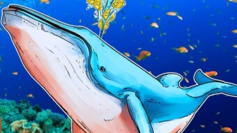 The ‘Crypto Whales’ secrets that keep the DeFi market earning millions of dollars