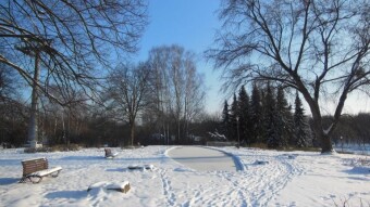 It's frosty and sunny in the morning, then cloudy and thaws. - My Actifit Report Card: January 17 2024