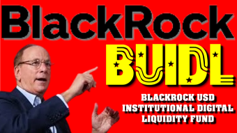 BlackRock and Innovation in Tokenization: A Fund on the Ethereum Blockchain.