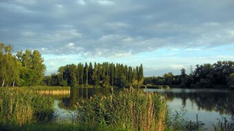 A hot and muggy Saturday, but the first chickadee appeared - My Actifit Report Card: August 9, 2025