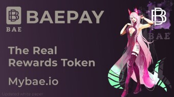 BAEPAY — The First Real Reward Token