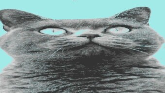 AMPLmeme contest? What's that?