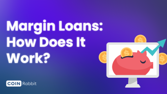 How do Margin Loans Works