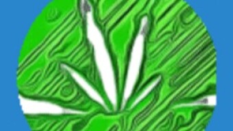 APE into a NEW GAME_WEED FARM