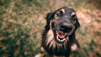 Publish0x Made Me Rich with $FORTH!