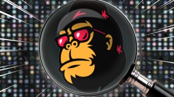 Coin Healthcheck: Feed Every Gorilla Token (FEG)