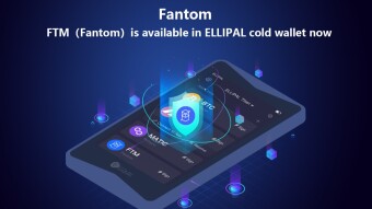 Learn more about FANTOM (FTM)