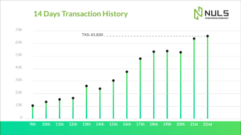 Real-world applications drive NULS usage.