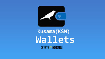 Best Kusama Wallets - Top 5 KSM Wallets in 2023
