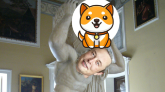 Musk tweet props up Baby Doge meme coin