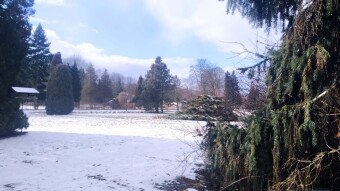 Winter's cheerful continuation, but very pleasant - My Actifit Report Card: February 15 2025