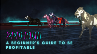 ZED RUN - A Beginner's Guide to be Profitable