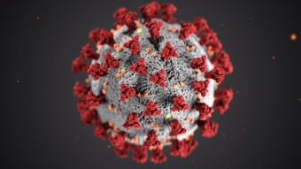 Coronavirus Could Be What Crypto Needed