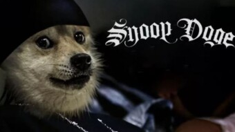 Doge breaks new record - Snoop Boost