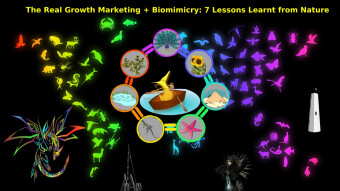 The Real Growth Marketing + Biomimicry: 7 Lessons Learnt from Nature