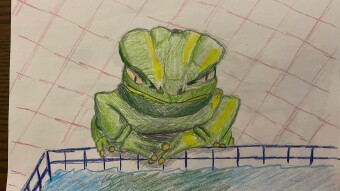 Disapproving Frogs