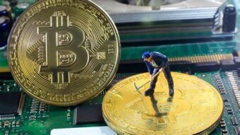 Bitcoin: Pump or Dump?