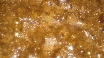 Lemon Kush Shatter