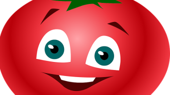 Many tomatoes
