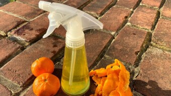 Homemade Citrus Cleaning Solution