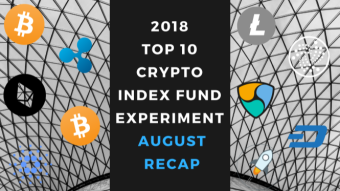 EXPERIMENT - Tracking Top 10 Cryptocurrencies for Two Years (2018 & 2019) - Month Twenty - Down 80%