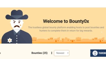 What is a Bounty0x Hunter profile?