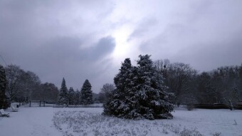 Sunday was no surprise, winter came as announced - My Actifit Report Card: November 23, 2025
