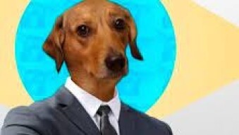 Vira-lata Finance, o jeito brasileiro divertido de falar sobre criptomoedas. É REAU!
