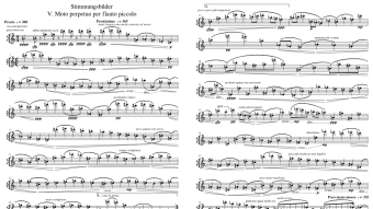 Stimmungsbilder: V. Moto perpetuo per flauto piccolo [Philip Daniel; 2020]