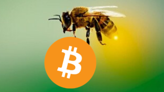 The simplest bitcoin mining guide. With honeyminer