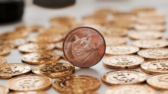 The 101 Guide to Dogecoin