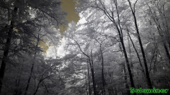 Infrared Photography - Exploration of Wildcat Creek Campground