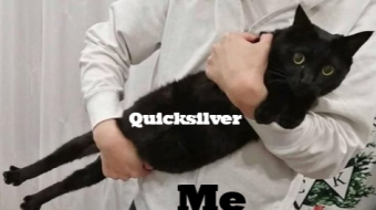 Quicksilver : The Benefits of Liquid Staking and the Possibilities it Offers with qAssets