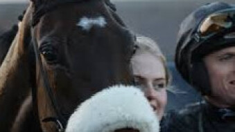 Oakley Hall (3.35 Hereford, 17 Feb)