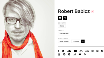 The Perfect Artist Profile