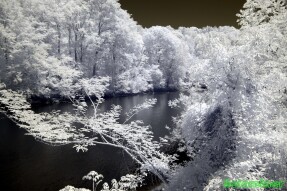 Infrared Photography - Down the river at Sweetwater Creek State Park