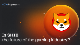 Is Shiba Inu the future of the gaming industry?
