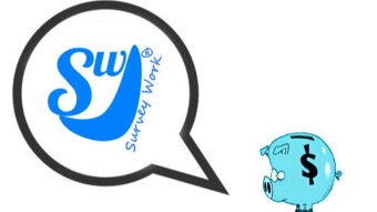 Survey Work, Earn Money with Surveys and Tasks